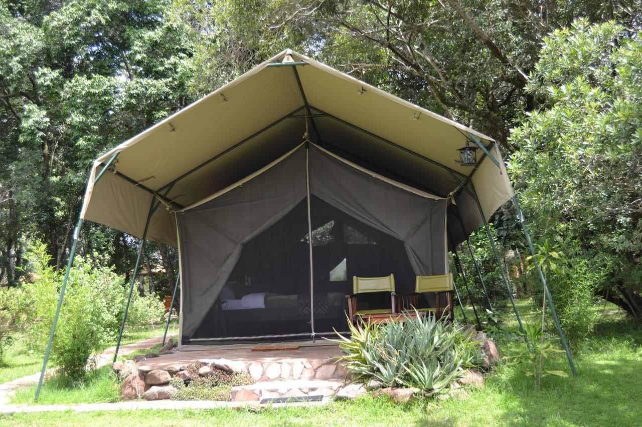 Mara River Camp Aitong Buitenkant foto
